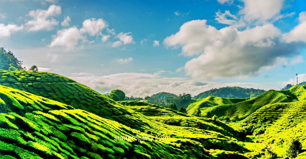 Cameron Highland Bungalow Land